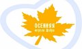 В Молодёжном центре Северодвинска подвели итоги благотворительных сборов в рамках проекта «Осенняя неделя добра»