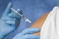 Северодвинцы могут вакцинироваться в СНТ