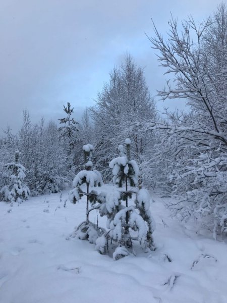 Начало зимы близ Северодвинска
