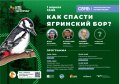 В Северодвинске пройдет экоконференция «Как спасти Ягринский бор?»