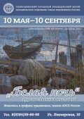 В краеведческом музее Северодвинска открылась новая художественная выставка «Белая ночь»